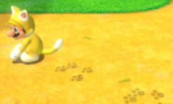 super mario 3d world head vignette