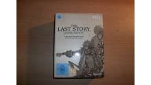 The Last Story Collector 1