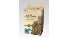 Wii_LastStory_BundleBox_PS_3D-small