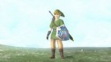 Zelda Skyward Sword detail vignette